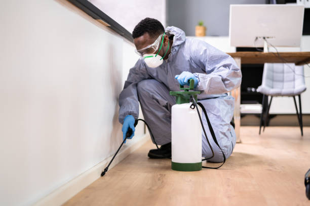 Best Fumigation Services  in Orange City, IA